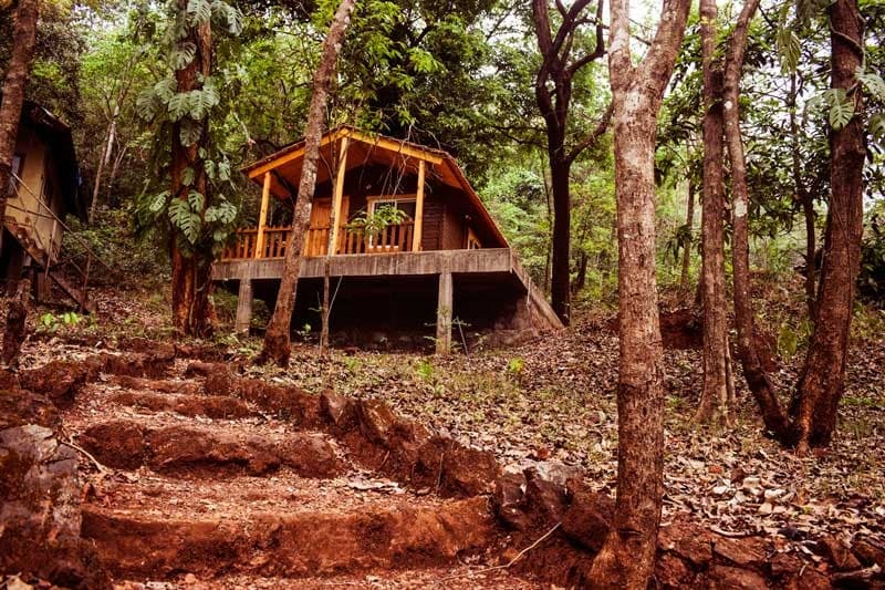 Dandeli Wildlife Sanctuary